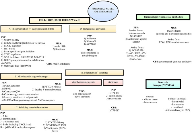 Potential novel therapies for atypical parkinsonian syndromes.
