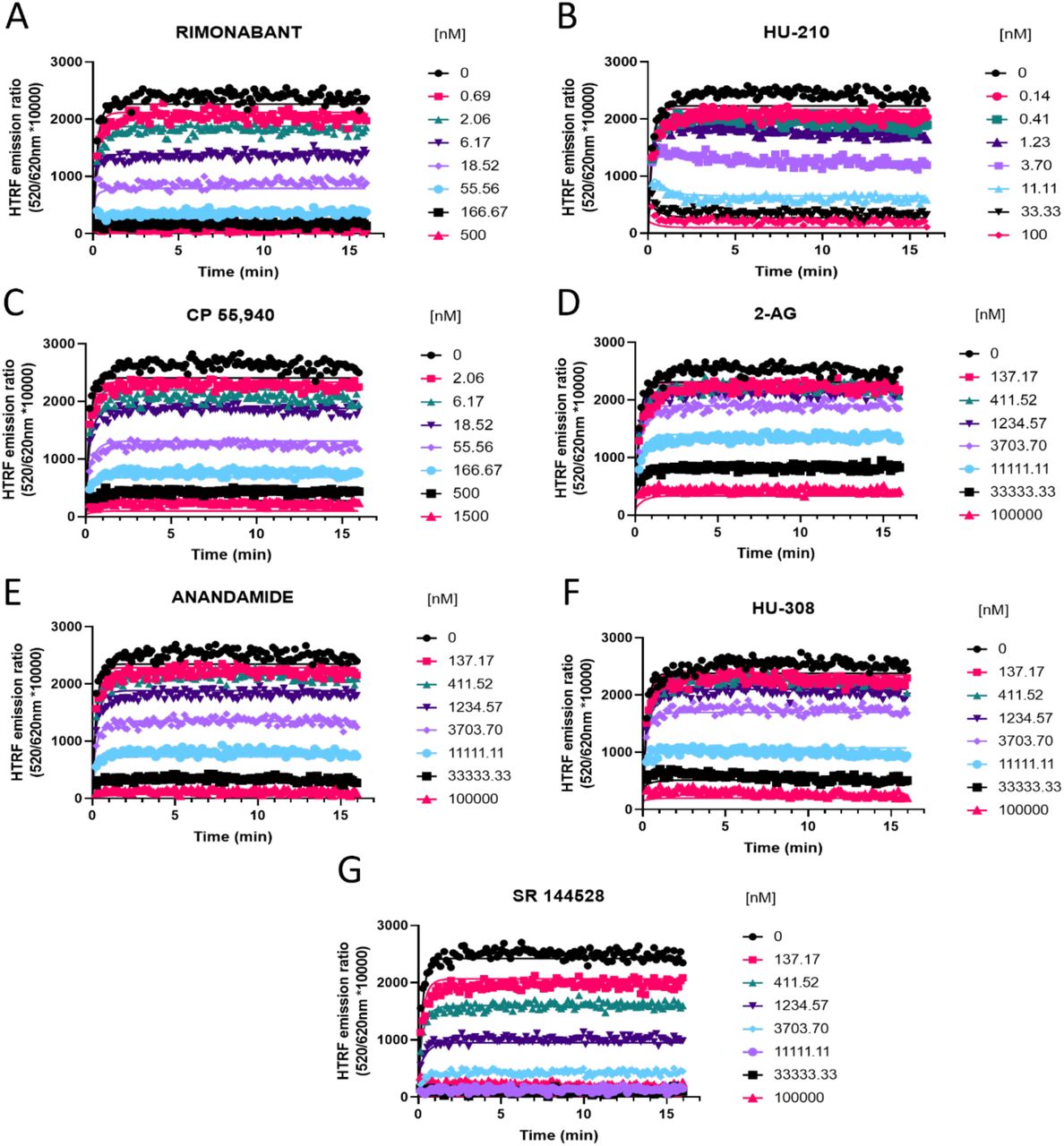 Competition kinetic binding curves of cannabinoid ligands competing with D77 for the at CB1RExperiments were conducted using a fixed concentration of the tracer molecule D77 (600 nM) and increasing concentrations of unlabeled ligands (A) Rimonabant, (B) HU-210, (C) CP 55,940, (D) 2-AG, (E) anandamide (AEA), (F) HU-308 and (G) SR 144528. Data were globally fitted to the competition association model using GraphPad Prism 9.2 to simultaneously calculate kon and koff of the unlabeled competitors. Graphs show competition association curves from a single experiment representative of ≥ 3 experiments conducted independently.