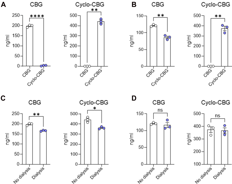 Ex vivo oxidative conversion of CBG to cyclo-CBG in mouse plasma (A) and brain homogenate (B). Panels (C and D) show CBG and cyclo-CBG concentrations measured in dialyzed and total (nondialyzed) samples from mouse plasma (C) and brain homogenate (D) after equilibrium dialysis. Data are presented as mean ± SEM (n = 3/group). Statistical comparisons were performed using unpaired t tests with Welch’s correction. ∗P < .05, ∗∗P < .01, and ∗∗∗∗P < .0001; ns, not significant.