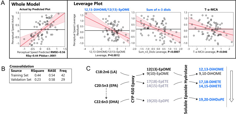Least square regression model of perceptual speed. (A) Actual by predicted plot of a whole model and leverage plots of model components. (B) Model cross-validation statistics using training set (60%, n = 44) and validation set (40%, n = 33). (C) Model components of soluble epoxide hydrolase metabolism projected onto their metabolic pathway. Metabolic pathway starts with the fatty acids on the left, farther, metabolizing enzymes are indicated on the arrows. Multiple possible metabolites of the pathway are indicated. Metabolites of sEH used for the model are highlighted. Color of the metabolites as well as an arrow next to the metabolic pathway represents directionality of the correlation with perceptual speed (orange—positive, blue—negative). RMSE root mean squared error, LA linoleic acid, CYP 450 cytochrome p450, sEH soluble epoxide hydrolase, EpOME epoxy octadecanoic acid, DiHOME dihydroxy octadecanoic acid, EpETE epoxy eicosatrienoic acid, DiHETE dihydroxy eicosatrienoic acid, EpDPE epoxy docosapentaenoic acid, DiHDoPE dihydroxy docosapentaenoic acid.