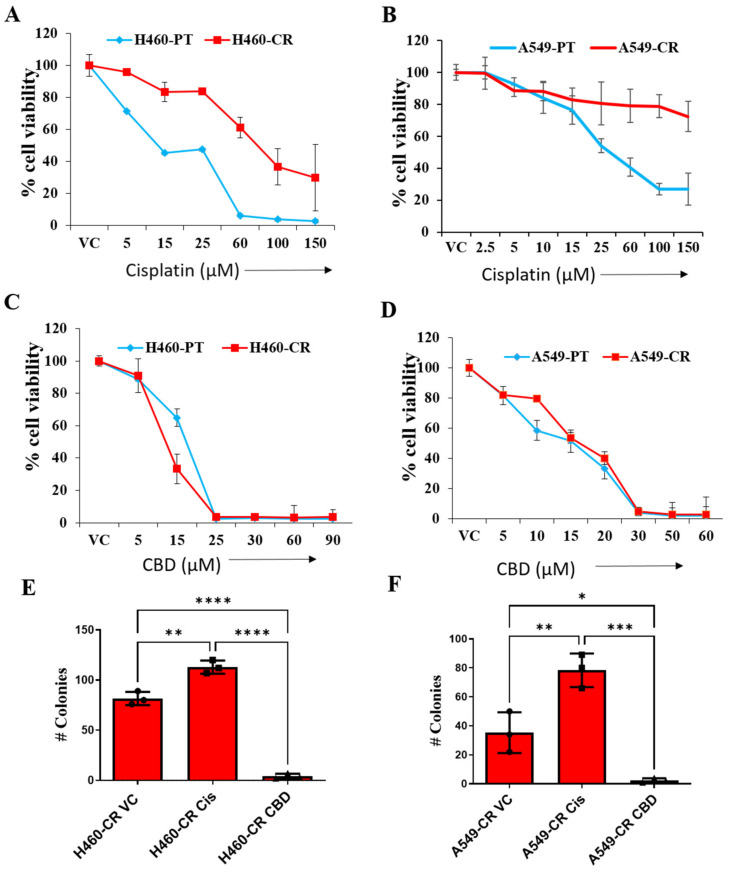CBD decreases viability of CR NSCLC cells. NSCLC parental controls (H460-PT, A549-PT) or drug-resistant (H460-CR, A549-CR) cells were treated with increasing concentrations of cisplatin (A,B) or CBD (C,D) for 48 h. PBS was used as vehicle control (VC). Graphs represent precent cell viability analyzed using presto blue dye. (E,F) CR NSCLC cells were treated with PBS vehicle control (VC) or CBD or cisplatin and the cells were analyzed for the number of colonies. Data are represented as Mean ± S.D (* p < 0.01, ** p < 0.001, *** p < 0.001, **** p < 0.0001 using one-way ANOVA ns, non-significant).