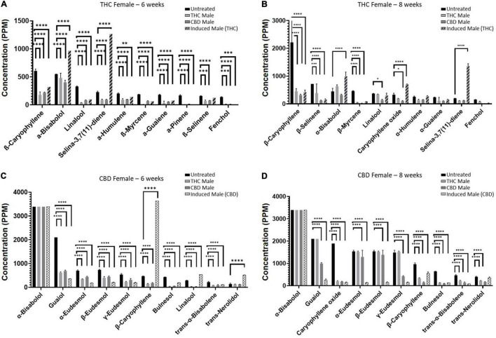 Individual terpenoid concentrations in THC- and CBD-rich female plants at 6 or 8 weeks. Abundant terpenoids in the unfertilized female flowers and their concentrations at 6 weeks (A,C) and 8 weeks (B,D). Data are reported as mean ± SEM of terpenoid concentration (n = 2–3, except THC-female fertilized by induced male (THC) at 6 weeks). Statistically significant differences between treatments and control (unfertilized) were calculated by two-way ANOVA followed by Dunnett’s multiple comparison test (*p ≤ 0.05; **p ≤ 0.01; ***p ≤ 0.001; ****p ≤ 0.0001). Values presented without SEM exceeded the maximal detection limit (maximum limits of detection for terpenoids appear in Supplementary Table 5).