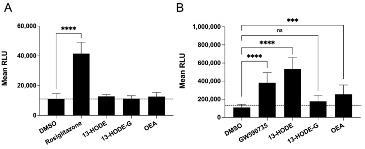 Impact of 13-HODE and 13-HODE-G on PPAR activity. Cells were incubated with 30 µM 13-HODE, 13-HODE-G, or OEA overnight and PPAR activity was measured using the PPAR assay kits according to the manufacturers’ instructions. Rosiglitazone (10 µM) and GW 590735 (100 nM) were utilized as positive controls for the (A) PPAR-γ and (B) PPAR-α assays, respectively. Data represent the mean (± SEM) of three (PPAR-γ) or five (PPAR-α) experiments, each performed in triplicates. p values were obtained by performing a 2-way ANOVA with a Sidak multiple comparison tests. **** p < 0.0001, *** p < 0.001. ns: p > 0.05.