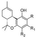 molecules-27-03301-i001.jpg