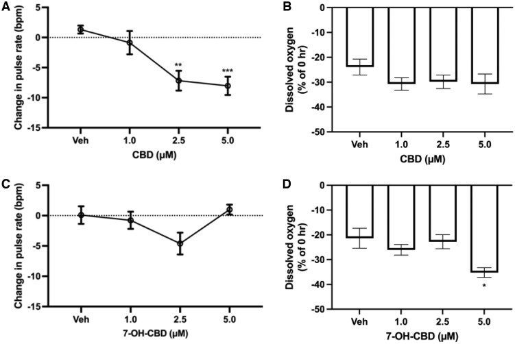 The effect on Lumbriculus variegatus dorsal blood vessel pulse rate and oxygen consumption during 24-hr exposure to 0–5 µM cannabidiol (CBD) or 7-hydroxy-cannabidiol (7-OH-CBD). (A) Effects on dorsal blood vessel pulsation rates in L. variegatus exposed to 0–5 µM CBD. The horizontal line at 0 indicates the average baseline pulsation rate of 12 bpm. **p < 0.01, ***p < 0.001. n ≥ 7 with a single L. variegatus exposed to each concentration. (B) Dissolved oxygen was measured as a percentage change from 0 hr after exposure to 0–5 µM CBD. n = 3 with 10 worms per condition per replicate. (C) Effects on dorsal blood vessel pulsation rates in L. variegatus exposed to 0–5 µM 7-OH-CBD. The horizontal line at 0 indicates the average baseline pulsation rate of 12 bpm. No significant difference was observed in 7-OH-CBD exposure. n ≥ 7 with a single L. variegatus exposed to each concentration. (D) Dissolved oxygen was measured as a percentage change of 0 hr after exposure to 0–5 µM 7-OH-CBD; n = 3 with ten worms per condition per replicate. Error bars represent the SEM. bpm = beats per minute, Veh = 0.5% (v/v) dimethyl sulfoxide in artificial pond water for CBD or 0.5% (v/v) methanol in artificial pond water for 7-OH-CBD.