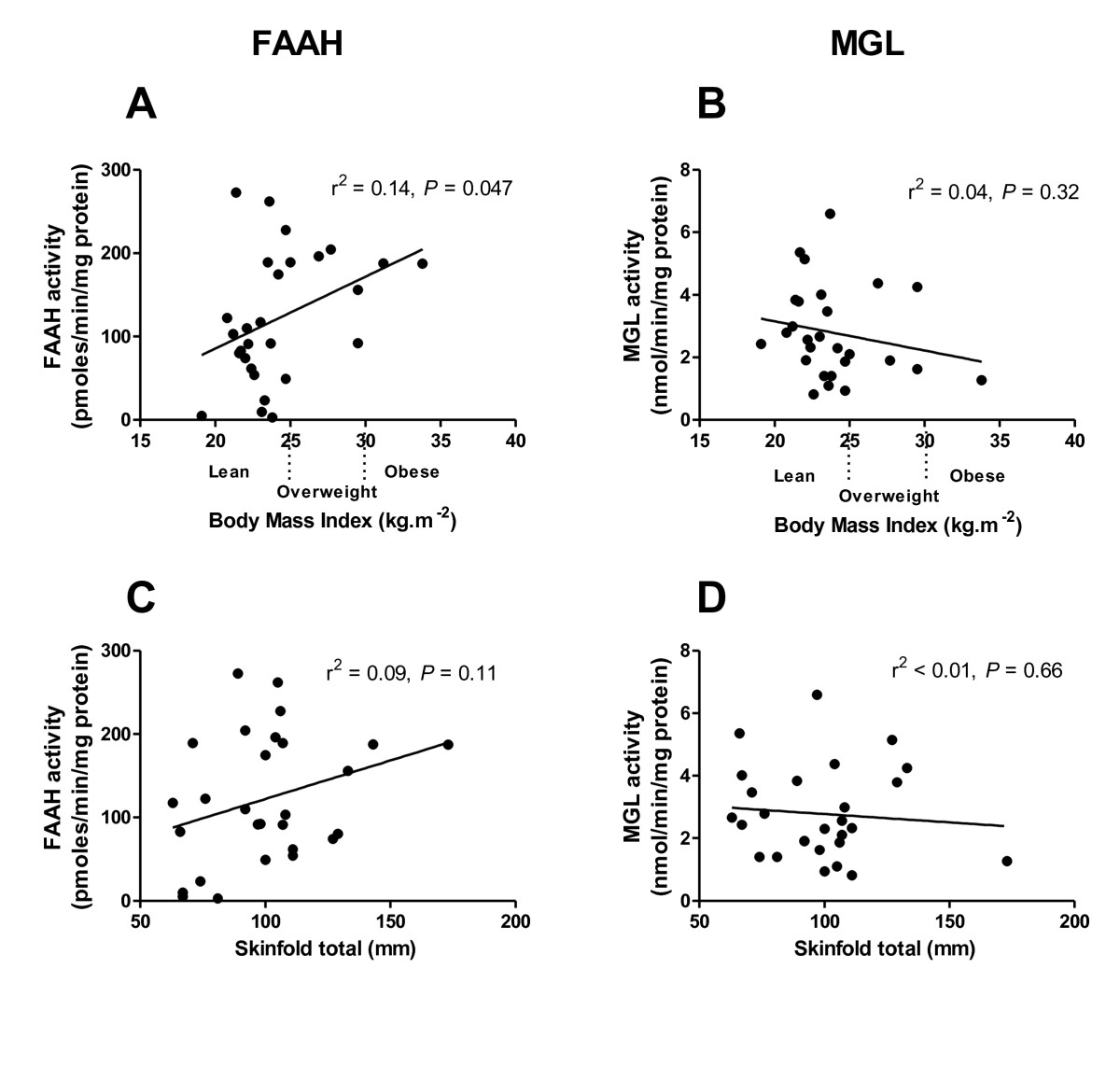 FAAH and MGL activities in abdominal subcutaneous adipocytes with relation to BMI (A and B) and the sum of skinfold thicknesses at 7 sites (C and D). Analysed using linear regression.