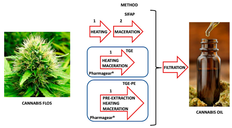 Schematic representation of the SIFAP procedure and TGE and TGE-PE methods for producing cannabis oil using Pharmagear® technology.
