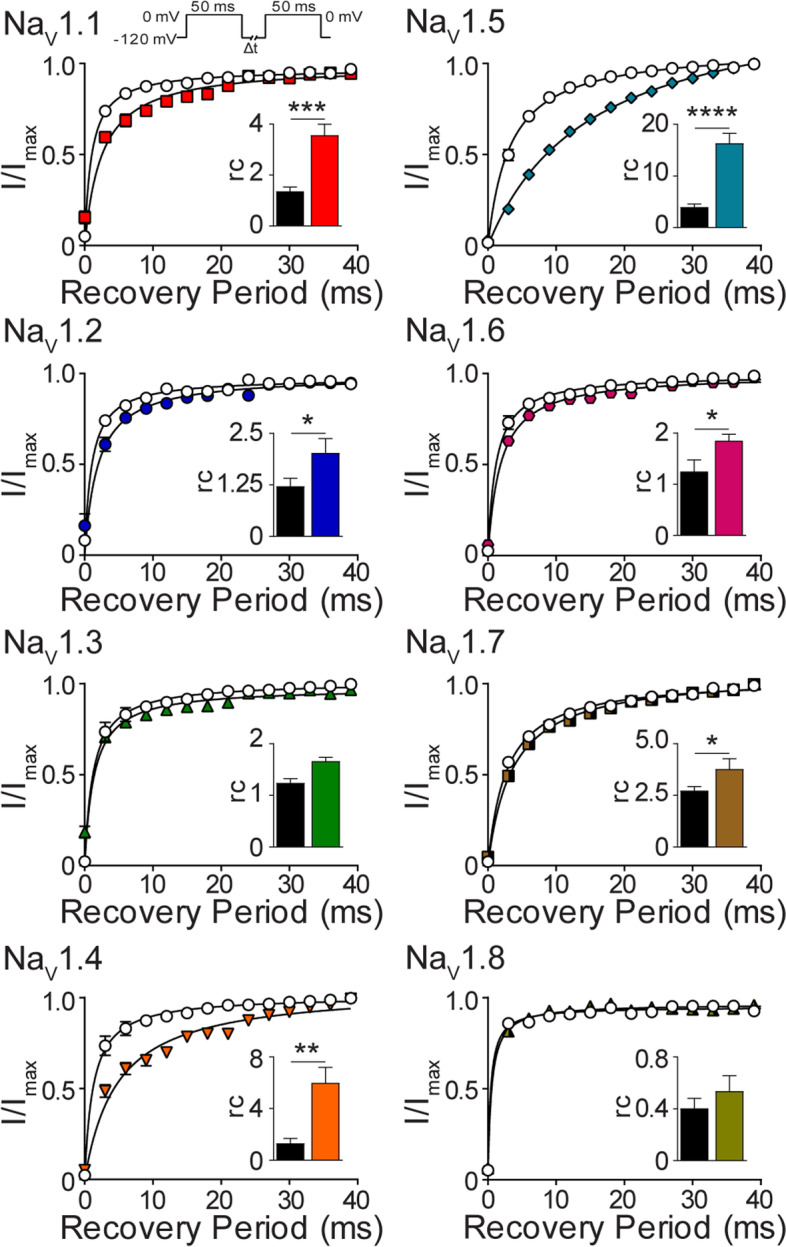 The effect of NP on sodium channel recovery from fast inactivation. Recovery of channel availability from fast inactivation as a function of time, evoked by the indicated voltage protocol (inset), in the presence of DMSO vehicle ( ) or NP (3 μg NP/mL) for NaV1.1 ( ; n=10), NaV1.2 ( ; n=8), NaV1.3 ( ; n=10), NaV1.4 ( ; n=6), NaV1.5 ( ; n=10), NaV1.6 ( ; n=11), NaV1.7 ( ; n=7) and NaV1.8 ( ; n=7). A hyperbola was fitted to pooled averages. Insets show the mean rc values in the presence of DMSO vehicle (black bars) or NP (coloured bars as described above). Data points are mean±SEM. Statistical significance is marked as *p <0.05, **p <0.01, ***p <0.001, ****p <0.0001