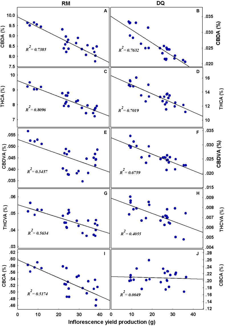 Linear regression analysis. Relationships between cannabinoid concentrations and inflorescence yield per plant. Cannabidiolic acid (A,B), Δ9-tetrahydrocannabinolic acid (C,D), cannabidivarinic acid (E,F), Δ9-tetrahydrocannabivarinic acid (G,H), and cannabichromenic acid (I,J). The continuous line represents the linear fit to the data.