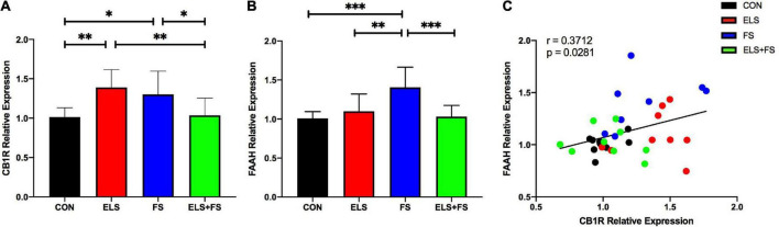 ELS and FS effects on cannabinoid receptor 1 (CB1R) and fatty acid amide hydrolase (FAAH) relative expression in the medial prefrontal cortex (mPFC) of adult female rats. Relative gene expression data are calculated and shown as 2– DDCt values ± SD [CB1R results (A); FAAH results (B)]. Significant results of SNK post-hoc test are indicated as *p ≤ 0.05, **p ≤ 0.01 and ***p < 0.001. Pearson correlation analysis revealed a positive correlation between CB1R and FAAH expression, overal all groups (C). CON, control (n = 9); ELS, early life stress (n = 9); FS, forced swimming (n = 8); ELS + FS, early life stress + forced swimming, (n = 9).