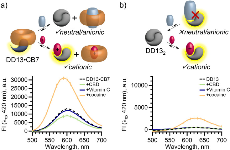A mixed host chemosensor has multi-capable responses to neutral, cationic and anionic structures. (a) Fluorescence response of mixed host co-assembled chemosensor DD13·CB7 to anionic Vitamin C, neutral CBD and cationic cocaine. Samples contain [DD13] = 10.5 μM, [CB7] = 21 μM and [drug] = 105 μM. (b) Fluorescence response of isolated DD13 to anionic Vitamin C, neutral CBD and cationic cocaine. Samples contain [DD13] = 10.5 μM and [drug] = 105 μM. All samples are in NaH2PO4/Na2HPO4 (8.4 mM, pH 7.4) in H2O with 2% MeOH.