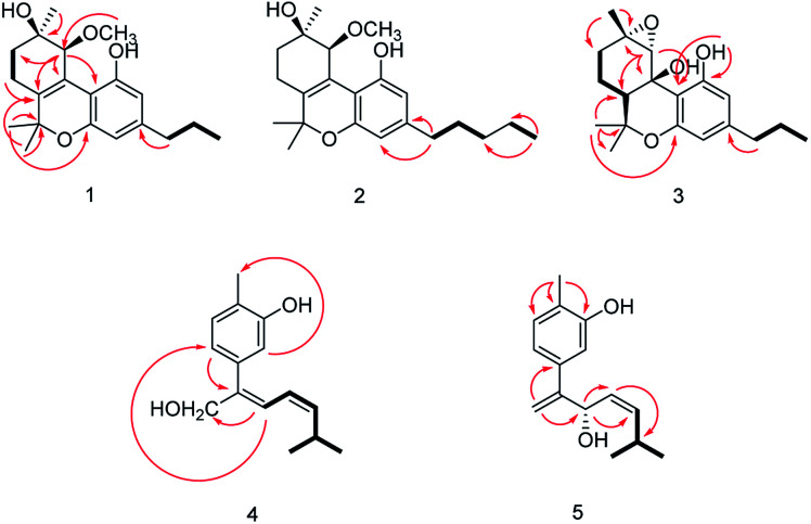 Key 1H–1H COSY , HMBC correlations of compounds 1-5.