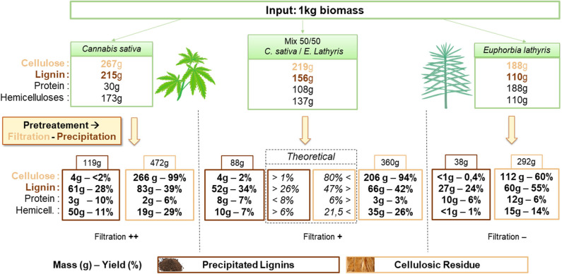 Mass balance of cellulose, lignin, protein and hemicellulose from Cannabis sativa, Euphorbia lathyris, and a 50/50 mix feedstock after NaOH pretreatment followed by filtration and precipitation.