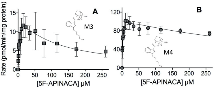 Steady-state kinetic profiles for 5F-APINACA secondary metabolites from microsomal reactions. (A) Panel reveals the kinetic data for M3 reflecting the combination of oxidative defluorination and adamantyl monohydroxylation of 5F-APINACA (squares, dark gray). (B) Panel shows the kinetic profile for the dihydroxy adamantyl metabolite (M4; circles, dark gray). Steady-state reaction conditions and data analyses were carried out as described in Materials and Methods. Each data point is the average of seven replicates from three separate experiments and the displayed curve reflects the best-fit model for the data. The corresponding mechanism and constants are reported in Table 2.
