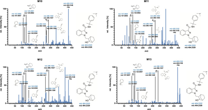 Liquid chromatography–quadrupole time‐of‐flight mass spectrometry spectra of Cumyl‐NBMINACA urinary metabolites, as observed in authentic urine specimens (broadband collision‐induced dissociation data analysis, with background subtraction for minor metabolites), part 2. m/z is shown as theoretical, colored and in italic, and experimental, bolded in black, just below.