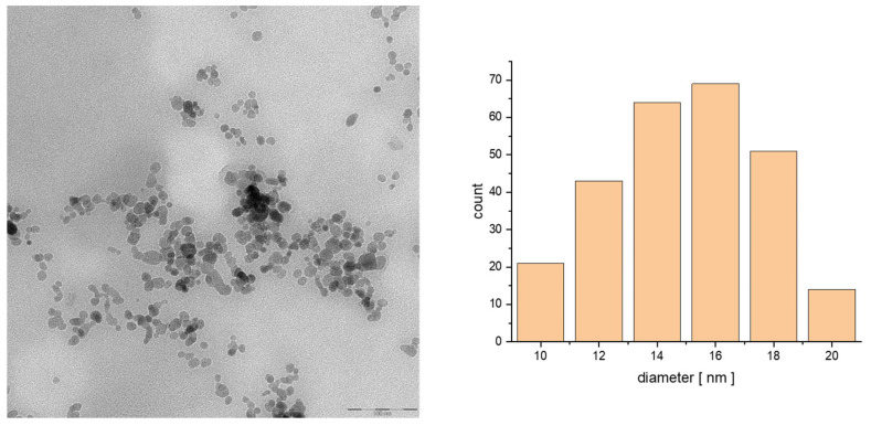 TEM images of the particle size distribution of SPION@OA_T80_CBG_epi (100 nm) and histogram of the size of the obtained structures.
