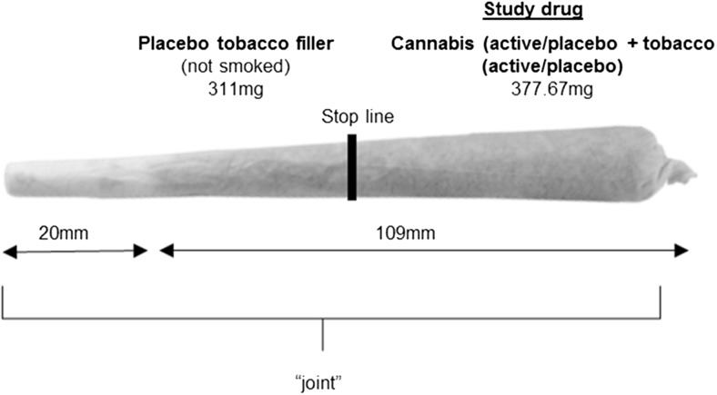Drug administration was conducted using ‘joints’, the most common method of administering cannabis in the Europe and Australasia (Hindocha et al. 2016). ‘Study drug’ region contained a mixture of 66.67-mg cannabis (active or placebo) and 311-mg tobacco (active or placebo) dependent on condition (see Table 1). The ‘placebo tobacco filler’ region contained 311 mg of placebo tobacco at the bottom of the joint (nearest to the mouth) which was not smoked. This filler was added to improve compliance with the fixed inhalation procedure, as puff volume typically decreases towards the end of the joint, probably due to rising heat (van der Pol et al. 2014). The stop line is the point at which participants stopped smoking the joint, separating the two regions. It was marked 1 cm after the ‘study drug’ to ensure complete inhalation