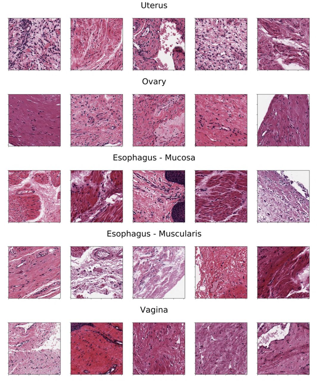 Representative tiles from two well-separated clusters observed on the UMAP embedding of VGG-20.
