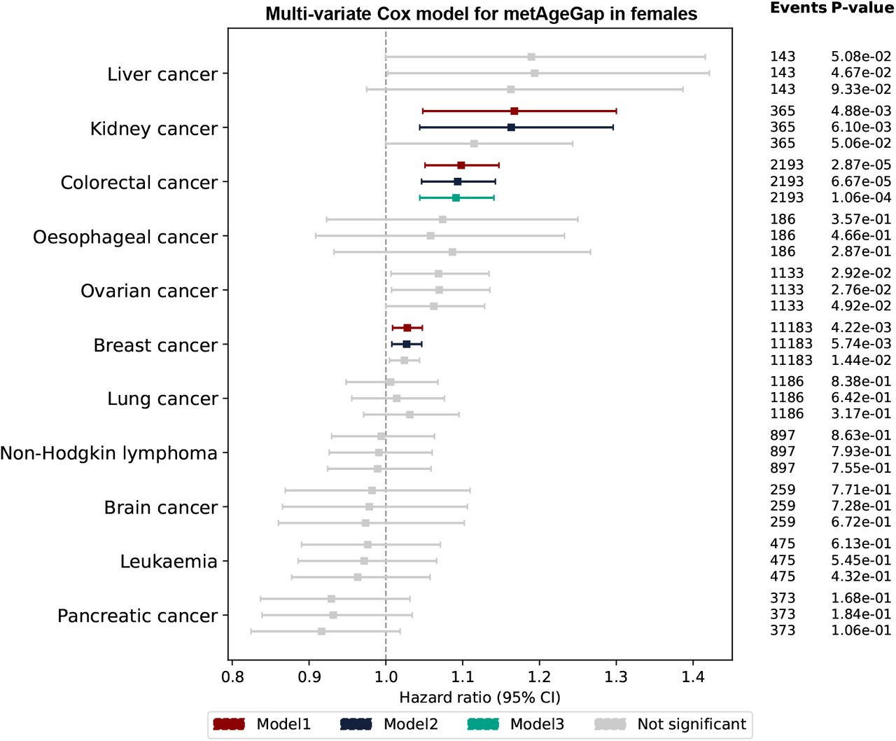 Forest plot of the association of metAgeGap with chronic diseases and mortality.(A) shows association between metAgeGap and various cancers in females using multi-variate cox proportional hazard model. In model 1, the exposure was metAgeGap with adjustment of chronological age. Model 2 was further adjusted for recruitment centre, Townsend deprivation index, and, ethnicity. Model 3 further adjusted for physical activity and BMI. P-values (p-val) were corrected for FDR multiple testing and non-significant associations after corrections were shown as grey color. (B) shows association between metAgeGap and various cancers in males using multi-variate cox proportional hazard model. (C) shows association between metAgeGap and health outcomes in females using multi-variate cox proportional hazard model. (D) shows association between metAgeGap and health outcomes in males using multi-variate cox proportional hazard model.