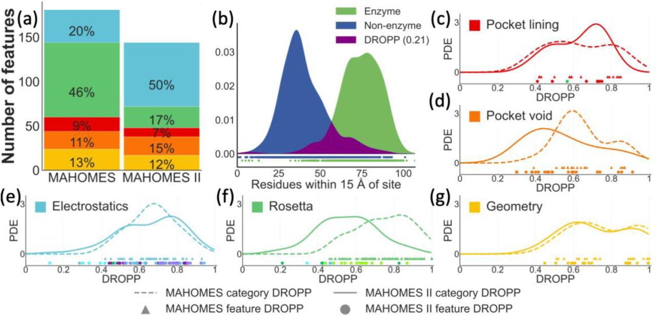 Feature category input space and DROPP(a) The number of features used by MAHOMES and MAHOMES II for each feature category: blue for electrostatics, green for Rosetta energy terms, red for pocket lining, orange for pocket void, and yellow for coordination geometry. (b) Example of DROPP calculation for the number of residues within 15 Å of the site feature. Kernel density estimators for the feature’s dataset values of enzymes (green) and non-enzymes (blue) are made and the overlapping region (purple) is calculated to give the features DROPP. (c-g) Comparison of MAHOMES and MAHOMES II DROPP probability density estimate (PDE) for each feature category:(c) pocket lining category, (d) pocket void category, (e) electrostatics category, (f) Rosetta energy terms category, and (g) geometry category. Dotted lines and triangles represent MAHOMES features. Solid lines and circles represent features used by MAHOMES II. Circles are colored by feature groups shown in figure 4b.
