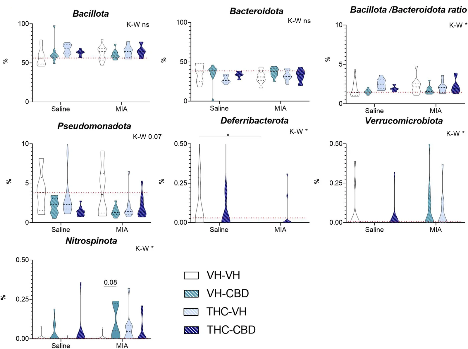 Violin plots display the relative abundance of different bacterial phyla and Bacillota/Bacteroidota ratio in groups defined by Saline or MIA treatment and four experimental conditions coded by different colors and patterns. Plots include Bacillota, Bacteroidota, Bacillota/Bacteroidota ratio, Pseudomonadota, Deferribacterota, Verrucomicrobiota, and Nitrospinota, with significance annotations provided, and a legend identifying color groups as VH-VH, VH-CBD, THC-VH, and THC-CBD.