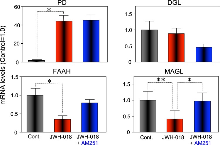 Effect of JWH-018 on the mRNA expression of AEA and 2-AG synthesizing and degrading enzymes, respectively, in the hippocampus of male mice. Mice were exposed to either JWH-018 (1 mg/kg) or vehicle, and their hippocampi were collected 8 h after treatment. The relative levels of mRNAs indicated were analyzed by real-time RT-PCR and normalized to β-actin mRNA. Each bar represents the means ± SEM of 4–6 animals. *p < 0.05 or **p < 0.01 indicate significant difference compared to controls.