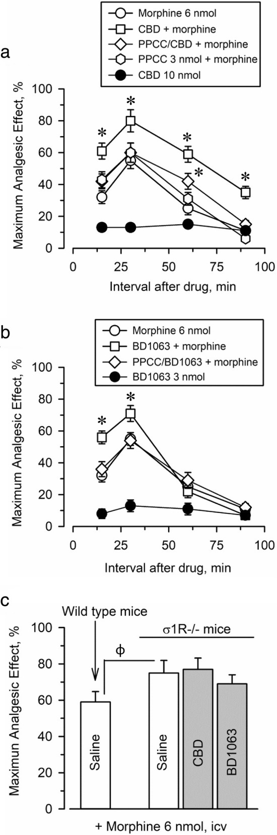 Effect of CBD on morphine-induced supraspinal antinociception. Mice received 10 nmol CBD icv 10 min before 6 nmol morphine, and analgesia was evaluated with the thermal warm water (52 °C) “tail-flick” test at the indicated post-opioid intervals. Each point represents the mean ± SEM of data from eight to ten mice. a CBD exhibited no significant analgesic effect in this test. The analgesia produced by the combination of CBD and morphine was significantly higher than that produced by morphine alone. The σ1R agonist PPCC did not alter morphine analgesia, but icv-injection 20 min before CBD prevented the enhancement of this effect of morphine. b The σ1R agonist BD1063 did not produce analgesia in this test but increased morphine antinociception. This potentiation was absent when PPCC was injected icv 20 min before BD1063. c Morphine promotes a higher analgesic effect in σ1R−/− mice than in wild type control mice. In σ1R−/− mice, BD1063 and CBD did not modify morphine analgesia. *Significantly different from the control group receiving only 6 nmol morphine, φ significantly different from the effect of morphine in wild-type mice. ANOVA, Dunnett’s multiple comparison vs control group, p < 0.05