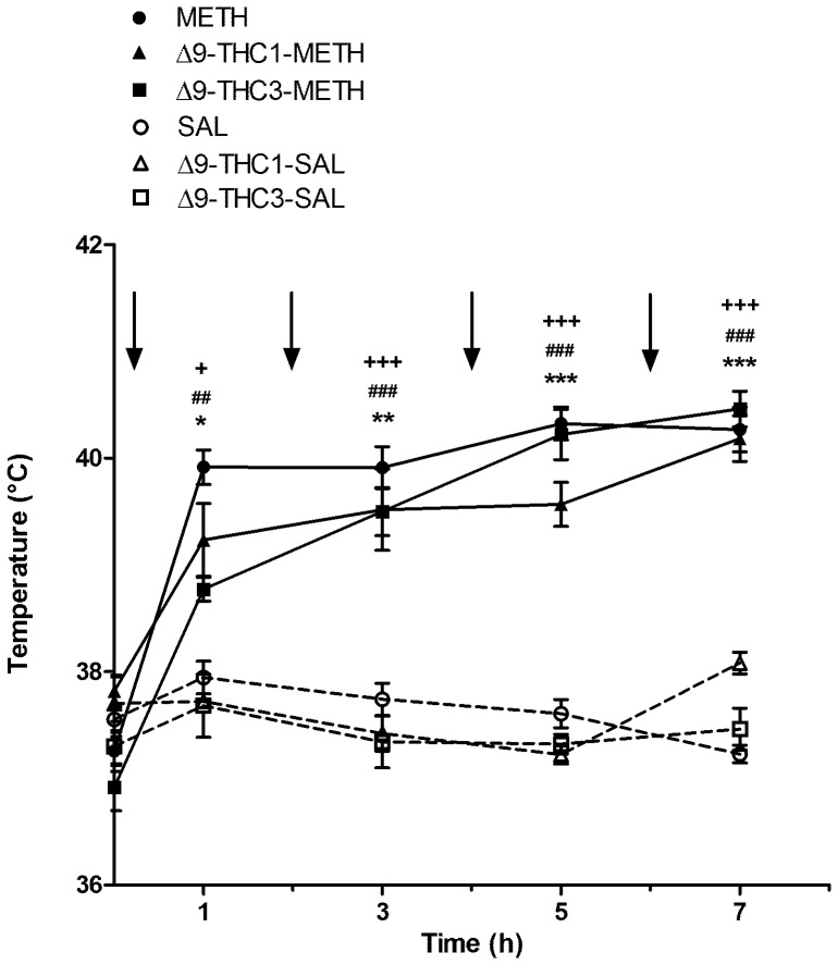 Core body temperature: effect of methamphetamine (METH) in the presence and absence of Δ9-THC (1 and 3 mg/kg).Rats were given SAL (1 mL/kg) or METH (4×10 mg/kg s.c., every 2 h) with and without Δ9-THC (1 and 3 mg/kg) pre-treatment. Body temperature was measured prior to and 1 h after each METH injection. Values are expressed as means ± SEM. Arrows indicate each injection of METH or SAL. No difference in baseline temperature was detected among groups. METH administration resulted in a significant increase in rectal temperature over time in comparison with SAL-treated rats. Both doses of Δ9-THC did not significantly change rectal temperature in METH-administered rats at any time point. METH: *p<0.05, **p<0.01 and ***p<0.001 vs corresponding SAL group at each time point. Δ9-THC1-METH: ##p<0.01 and ###p<0.001 vs corresponding Δ9-THC1-SAL group at each time point; Δ9-THC3-METH: +p<0.05 and +++p<0.001 vs corresponding Δ9-THC 3-SAL group at each time point.