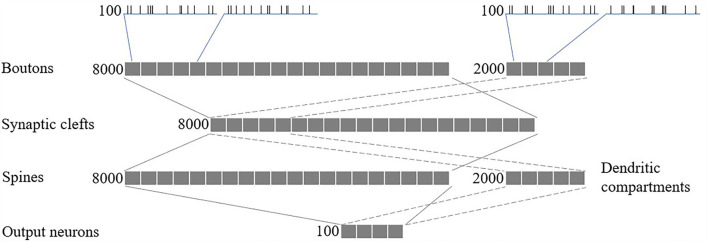 Network structure.