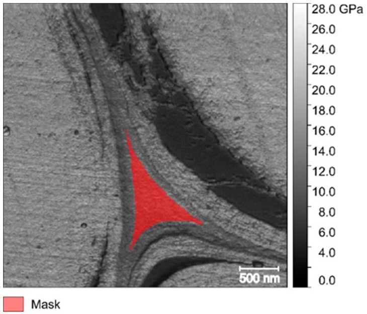 Flax middle lamella with a selected area mask to calculate the indentation modulus mean value and standard deviation.