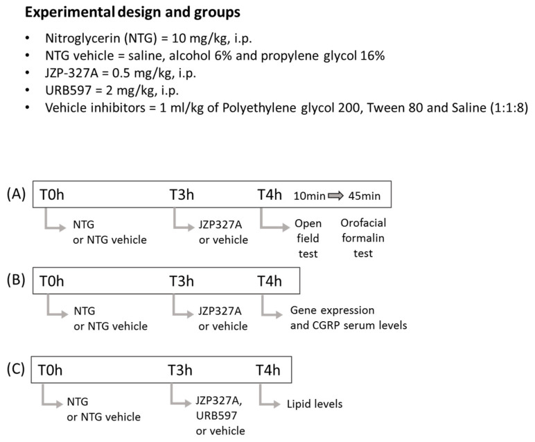 Experimental timeline for the treatment and testing procedures in the three experimental settings used in this study. (A) JZP327A (or vehicle) was administered 3 h after NTG (or its vehicle), meaning 1 h before the open field test; immediately after the open field, rats were injected with formalin (50 μL, s.c.) and the orofacial formalin test was performed (45 min duration). (B) Rats were immediately sacrificed after the drug treatment schedule for the detection of gene expression in cranial tissues and the assay of CGRP serum levels. (C) JZP327A or URB597 (or vehicle) was administered 3 h after NTG (or its vehicle); rats were immediately sacrificed after the drug treatment schedule for lipid assays.