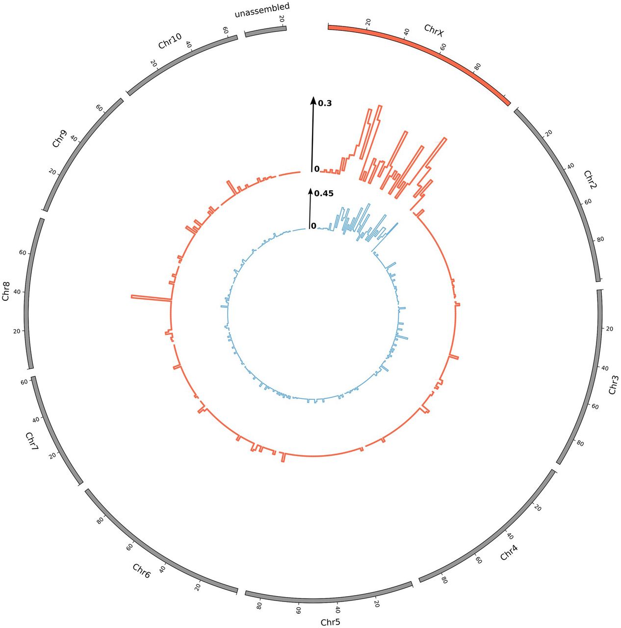 H. lupulus sex-linked genes mapped on the C. sativa genome (Grassa et al., 2018). Inner graphs (in blue): C. sativa sex-linked gene density corrected by the total gene density in 2-Mb windows (from Prentout et al., 2020). Outer graphs (in red): H. lupulus sex-linked gene density corrected by the total gene density in 2-Mb windows. Chromosome positions are given in Megabases.