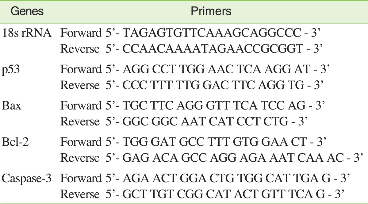 Primers for PCR analysis