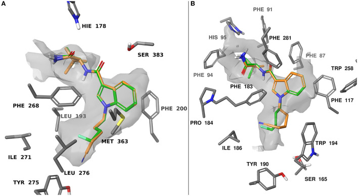 Computationally predicted binding modes of 9 (orange) and 26 (green) overlayed at CB1 (A), PDB:6N4B and CB2 (B), PDB:6PT0 (57, 58). The hydrophobic regions of the binding site (grey) were evaluated with SiteMap (67). Glide docking was performed using the Schrodinger computational chemistry suite (66).