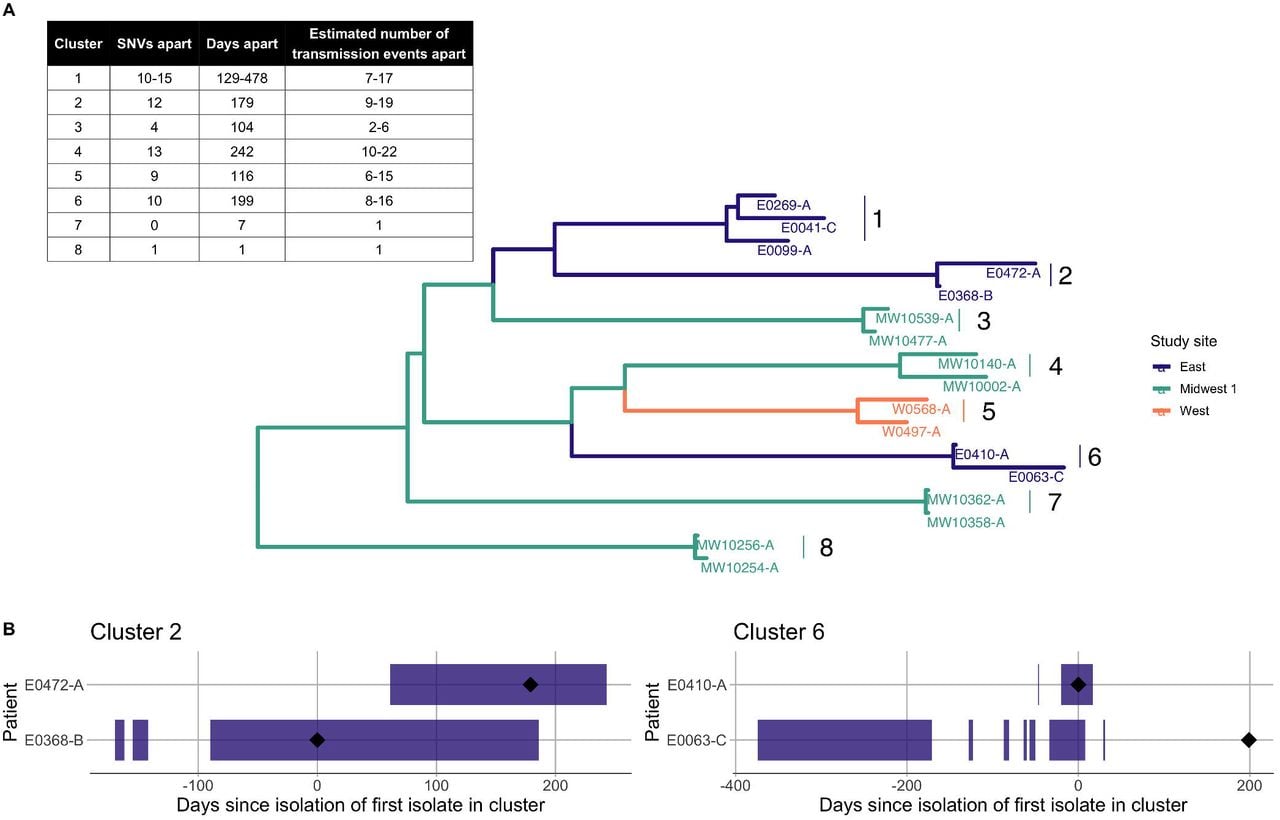 A) Phylogeny of eight identified putative transmission clusters of H30 identified from four children’s hospitals in the U.S. colored by study site, with the number of days separating their collection; the number of single nucleotide variants (SNVs) separating them after quality filtering; and a range of estimated number of transmission events separating them as calculated by the R package transcluster. The range of estimated transmission events reflect a range of reasonable values for substitution and transmission rates, but do not account for potential intra-host evolution or diversity. B) Temporal depiction of the overlapping hospitalizations of individuals in Cluster 2 and Cluster 6. The black diamond indicates the date of isolate collection and the purple bars represent time hospitalized. Time is measured in days since the isolation of the first isolate in each cluster.