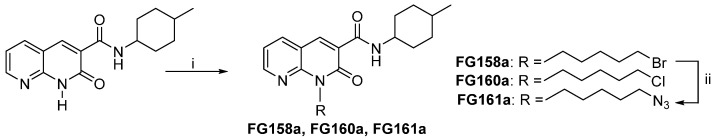 Reagents and conditions: (i) CsF, DMF, rt, 1 h; suitable R-Br or R-Cl, 30 °C, 24 h; (ii) NaN3, DMF, 60 °C, 12 h.