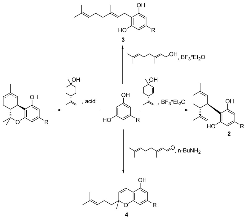Generation of the diversity of phytocannabinoids by isoprenylation of alkylresorcinols. R = n-pentyl.