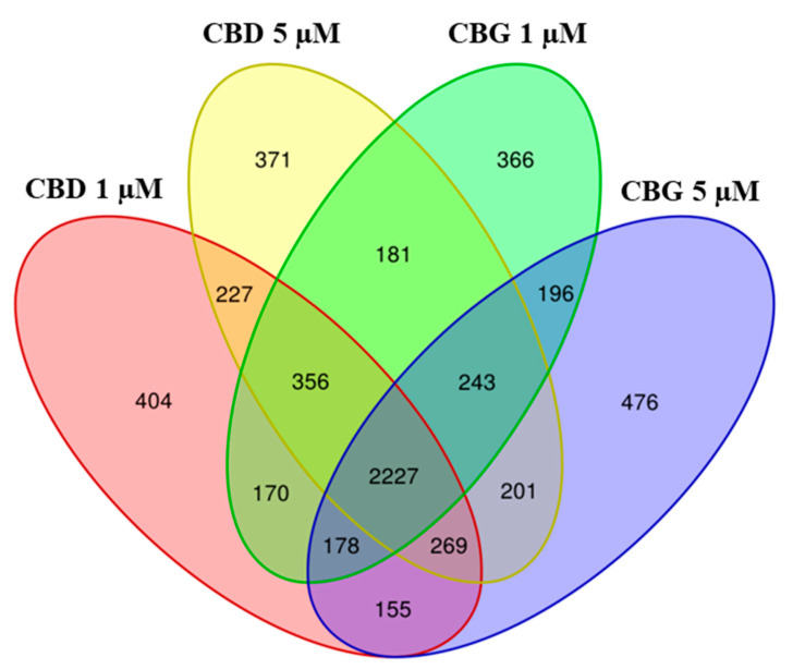Venn Diagram. The genes differentially expressed in CBD 1 µM, CBD 5 µM, CBG 1 µM and CBG 5 µM were evaluated. The comparison of all the samples shows how many genes are differentially expressed between the different compounds at each concentration. Each intersection of the different samples shows the number of genes in common, exclusively between those groups and not with the others.