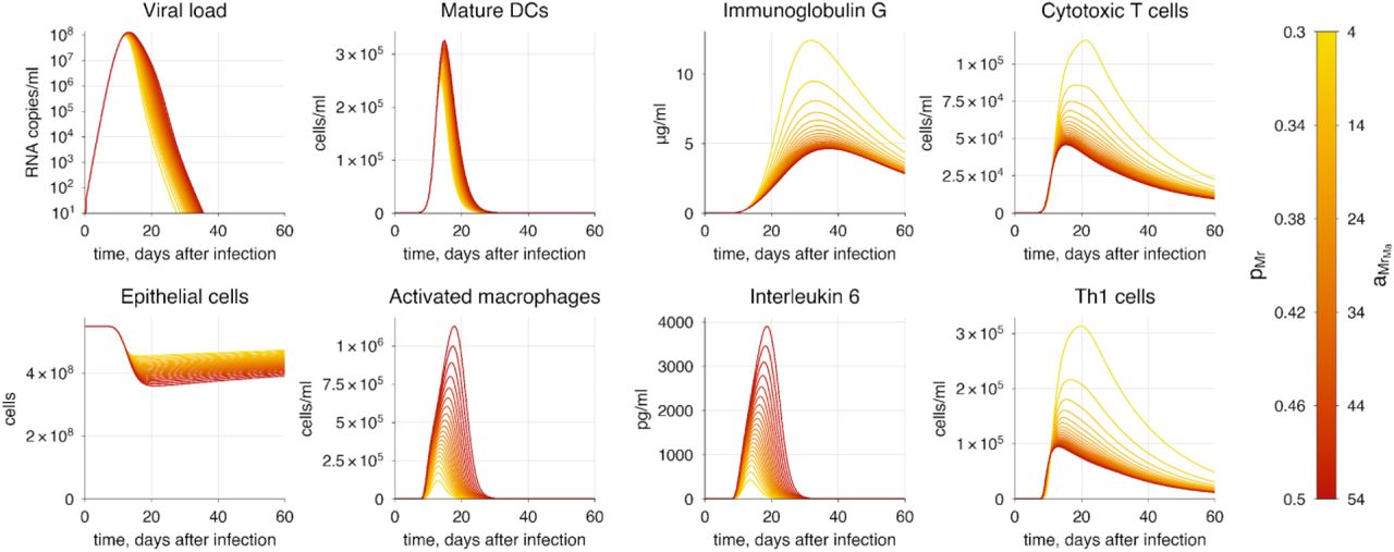 The baseline model solution with macrophage hyperactivation. The varying parameters represent the rates of macrophage recruitment and activation. The transition from yellow to red indicates increasing severity of COVID-19.
