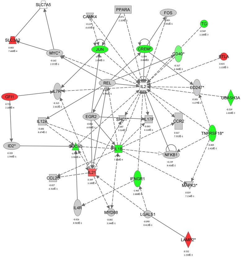 IPA gene network analysis of the CBD modulation of stimulated TMOG cells—Network 2. See Figs. 2 and 3 for details
