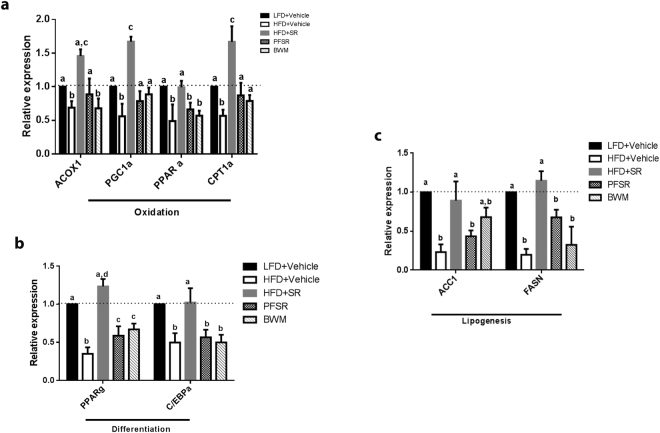 SR141716A improves adipose tissue metabolism in diet-induced obesity. Experiments Diet-Induced Obesity (DIO) were set up as described in Fig. 1 legend. mRNA expression of markers of (a) lipid oxidation (CPT1; ACOX1; PGC-1α; and PPARα), (b) adipocyte differentiation (C/EBPα, PPARγ), and (c) lipogenesis (ACC1; FASN) was measured in epididymal fat depots (n = 5). Data are shown as mean ± SD. Data with different superscript letters are significantly different (P < 0.05) according to post hoc ANOVA one-way statistical analysis.