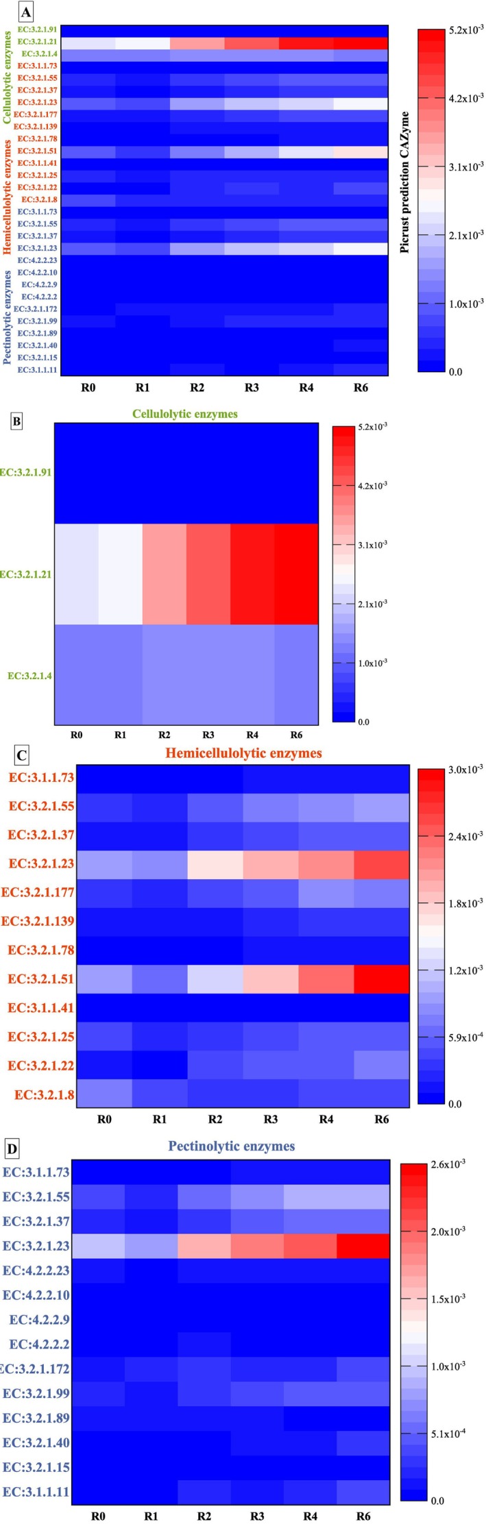 Heatmaps of predicted bacterial hydrolytic enzymes present in hemp field stem samples and generated by PICRUSt software. (A) Predicted cellulolytic, hemicellulolytic, and pectinolytic enzymes; (B) predicted cellulolytic enzymes; (C) predicted hemicellulolytic enzymes, and (D) predicted pectinolytic enzymes. Enzyme predictions are colour‐coded based on their raw abundance: The transition from blue through white to red reflects an increasing scale of enzyme occurrence from the lowest to the highest occurrence.