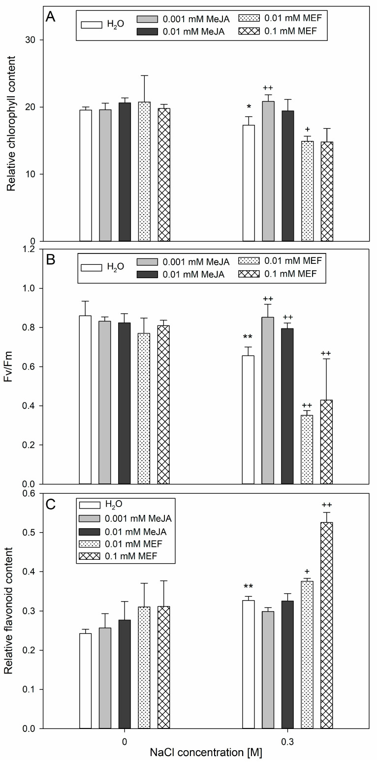 Effects of methyl jasmonate (MeJA) and mefenamic acid (MEF) on total chlorophyll content (A), Fv/Fm (B), and flavonoid level (C) in leaves of 25-day-old hemp subjected to salt stress. Treatments included NaCl (0.3 M), MeJA (0.001 mM and 0.01 mM), MEF (0.01 mM and 0.1 mM), and their combinations. Values represent means ± SD. Statistical significance: NaCl vs. H2O ** p ≤ 0.01, * p ≤ 0.05; MeJA/MEF + NaCl vs. NaCl ++ p ≤ 0.01, + p ≤ 0.05.