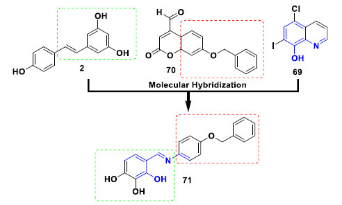 Molecular hybridization of pharmacophore subunits of clioquinol (69), MAO-inhibitor 70 and resveratrol (2) to generate the hybrid derivative 71 with potent neuroprotective, MAO-B inhibition, metal chelating and anti-inflammatory properties.