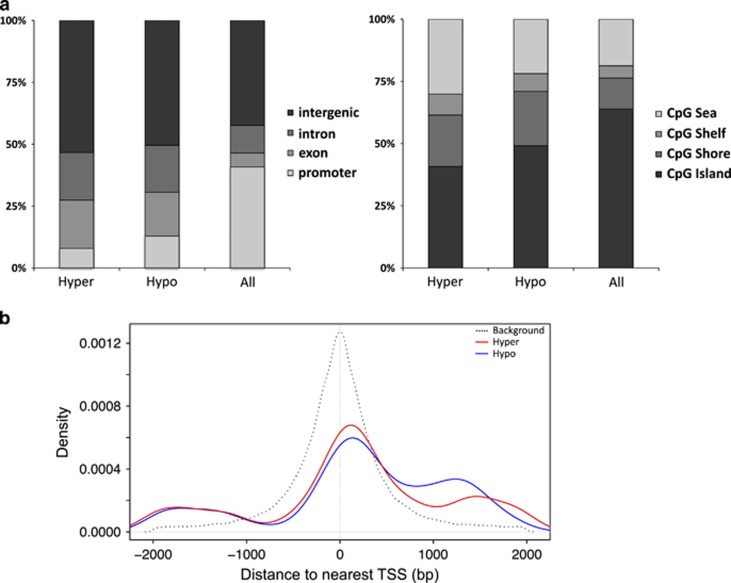 Localization of CpGs with respect to exon/intron, promoter/TSS, and CpG island annotations in the rn4 genome. (a) The proportions of CpGs in hyper- and hypomethylated DMR (‘Hyper', ‘Hypo' n=5,611) and background sets (‘All' n=567,306) overlapping Refseq gene (left panel) and CpG island annotations (right panel). (b) Comparison of genomic distances (bp) from Refseq gene TSSs of promoter-associated CpGs within DMRs (n=612) and the background set (n=235 524), represented by red/blue and black lines; DMR-CpGs were preferentially located downstream of TSSs.DMR, differentially methylated region; TSS, transcription start site.