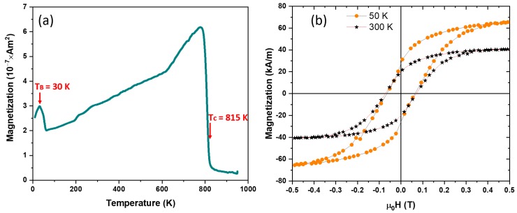 Magnetic properties of the annealed NPs: (a) M vs. T data of the annealed NPs; and (b) hysteresis loops of the annealed NPs at 300 and 50 K.