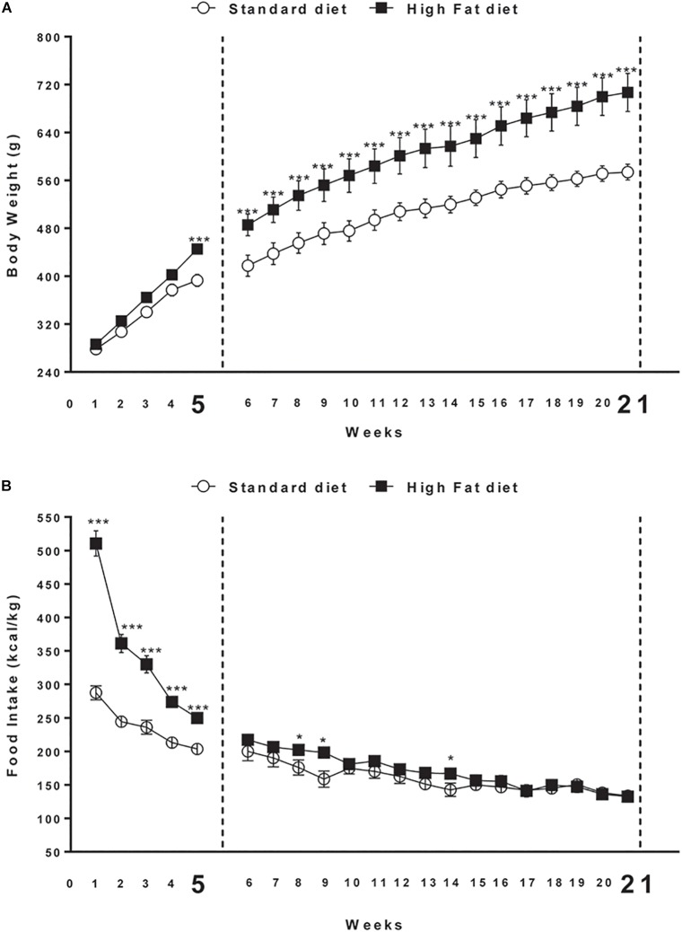 (A) Body weight and (B) cumulative food intake (kcal) measured weekly in rats exposed for 5 and 21 weeks to high fat (HFD) or standard diet (STD). Significant differences are indicated: ∗∗∗P < 0.001, ∗P < 0.05 vs. STD.