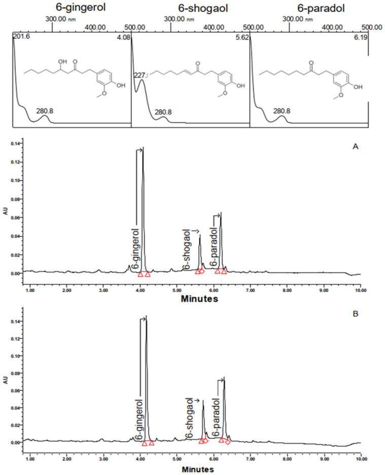 UV–vis spectra, chemical structures, and chromatographic profiles of A. melegueta seeds (A) and VAN (B) obtained at 280 nm.