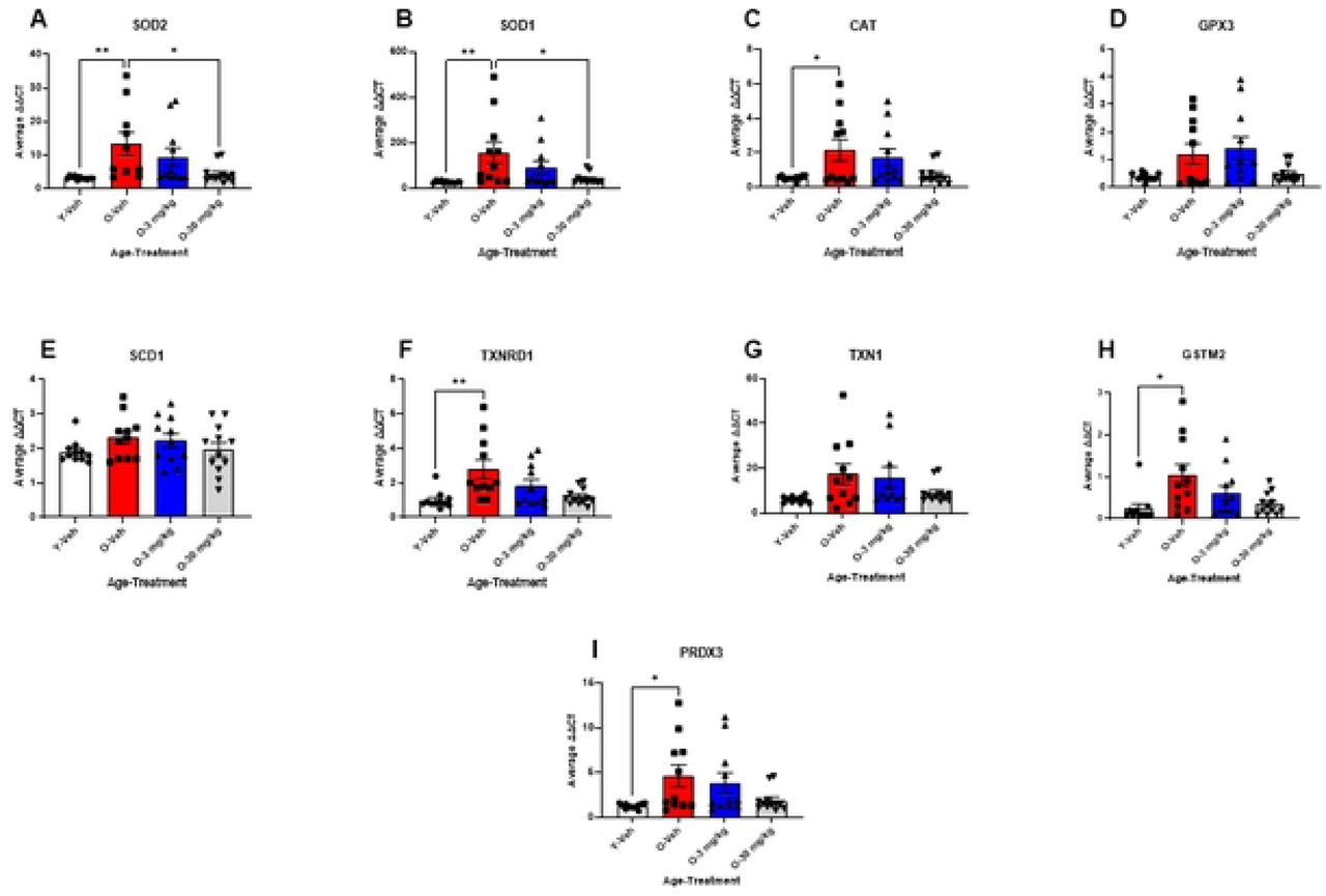 CBD treatment reversed age-related changes in the expression of oxidative stress.Results from qPCR indicate that multiple markers of oxidative stress were elevated with age. 12 mos-old vehicle treated SAMP8 mice (Red bars) had elevated SOD2, SOD1, CAT, TXNRD1 GSTM2, and PRDX3 gene expression (A, B, C, F, H & I) compared to 4 mos-old vehicle treated mice (white bars; A, B, C, F, H & I). Both 3 (blue bars) and 30 mg/Kg (gray bars) CBD treated 12 mos-old SAMP8 mice showed significant decreases in SOD2 and SOD1 gene expression (A & B) with a trend towards a reduction in CAT, TXNRD1, GSTM2 and PRDX3 gene expression (B, F, H, & I). (N = 10∼12 per group for all).* P<0.05.