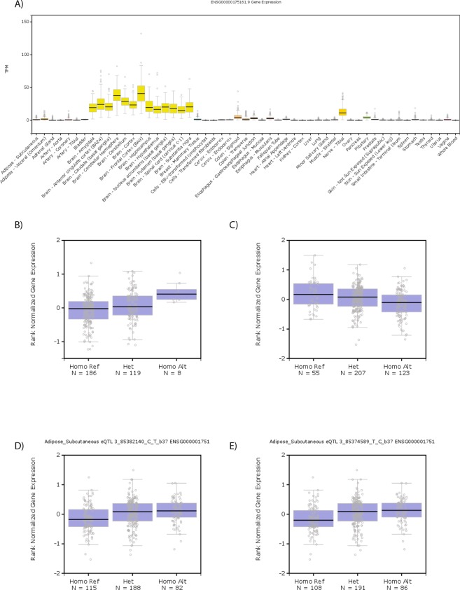 Expression of CADM2 mRNA is (A) predominantly observed in the brain and higher levels are associated with (B) the BMI-increasing allele of rs11708632 (A, Alt), (C) the risk-taking allele of rs4856591 (T, Ref), (D) the mood instability-decreasing allele of rs818225 (T, Alt) and the neuroticism-decreasing allele of rs818219 (C, Alt).